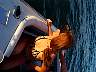/images/LakeHav/SpBr2000/pictures/P004974.jpg